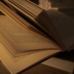 Future Skills an Handelshochschulen: Was erwartet die Wirtschaft?